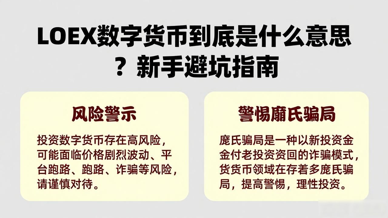 LOEX数字货币到底是什么意思？新手避坑指南